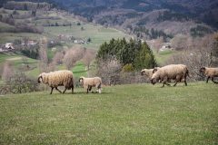 A_Hrinova_Apr25_P4130193