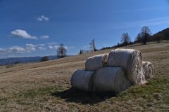 IZO_2693