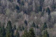 P1430186